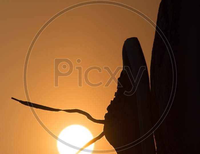 Brown Shoe With Levitating Shoelace On Sunset Background On Top Of The Mountain