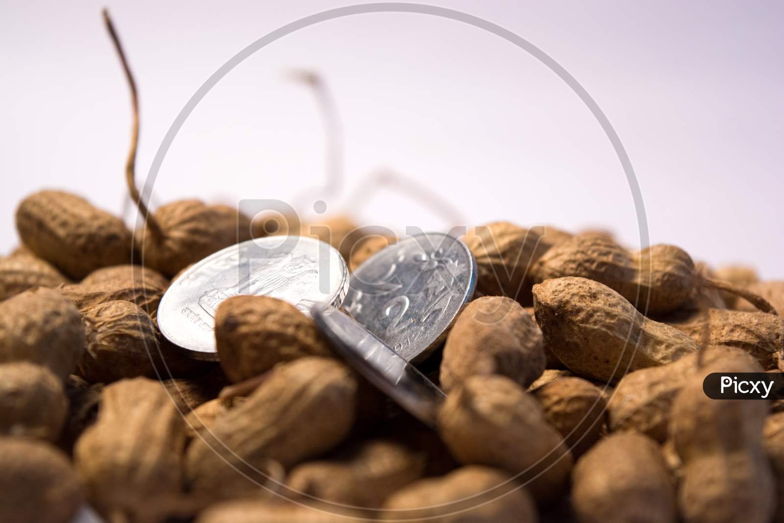 Close Up Of Peanuts Or Groundnuts With Indian Coins On Isolated Background