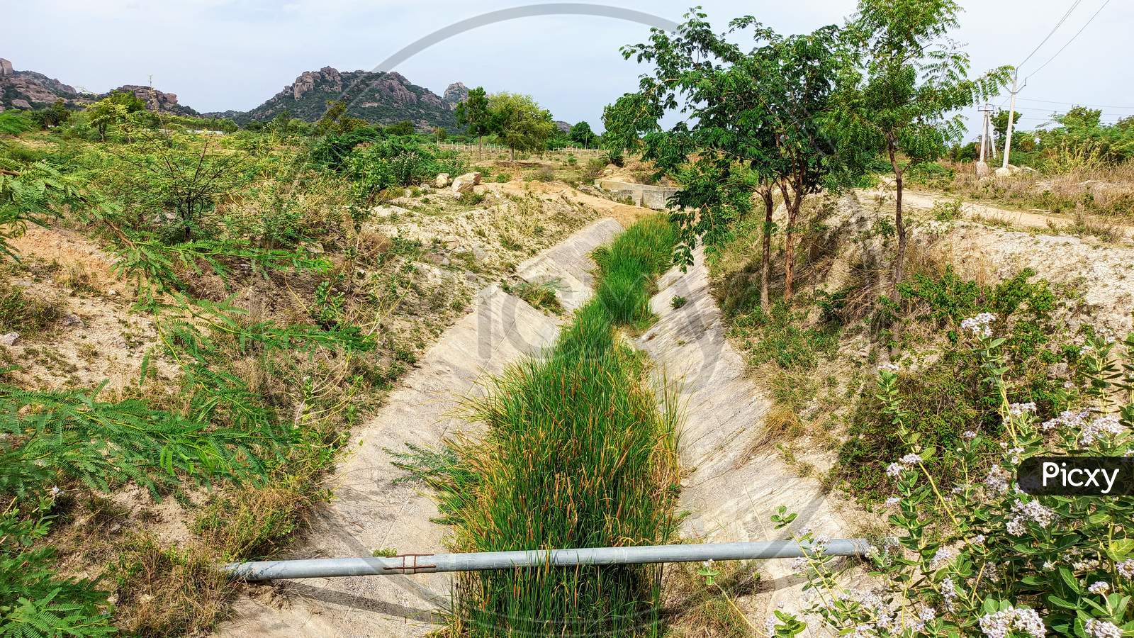 No Water InbShankara Samudram Right Main Canal Rajeev Bhima Lift Irrigation Scheme 2 at Addakal Mandal Mahabubnagar