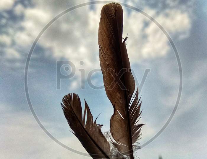 Fly high, wings , feather, bricks with wings , sky, blue,