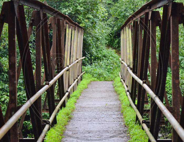 Iron bridge in Jungle trail