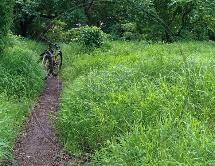 Mtb Bicycle On A Mud Trail Along Green Grass And Trees In Monsoon. Cycle In Nature. Landscape Image Of Cycle,Green Grass And Trees. Country Side Bike Ride.