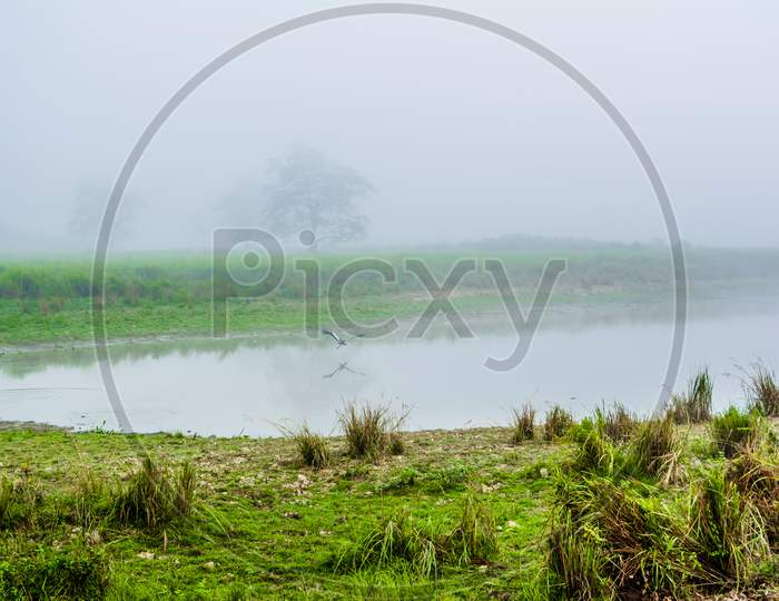 Landscape of lake and river in the morning time with fog at Kaziranga national park, Assam, India.