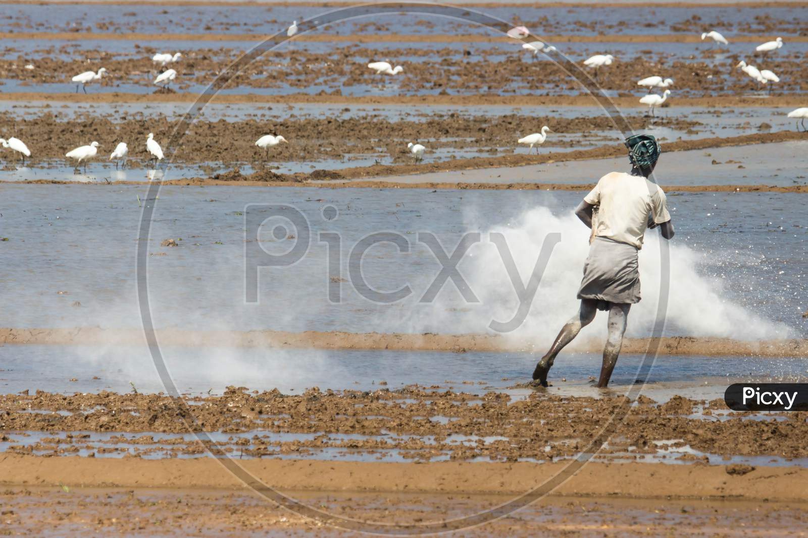 Farmer working on the field
