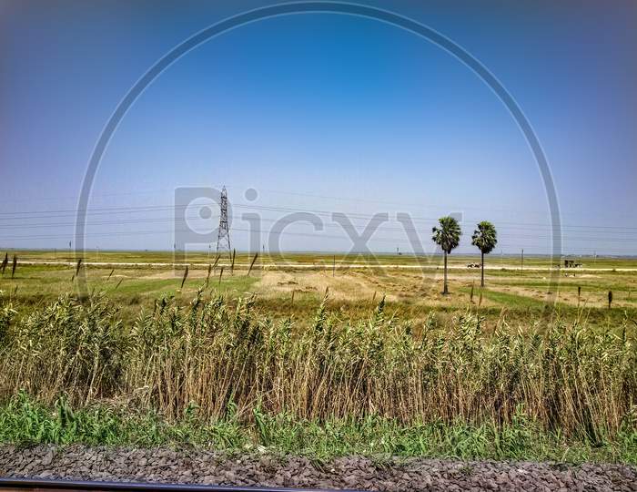Blue sky agricultural land and trees