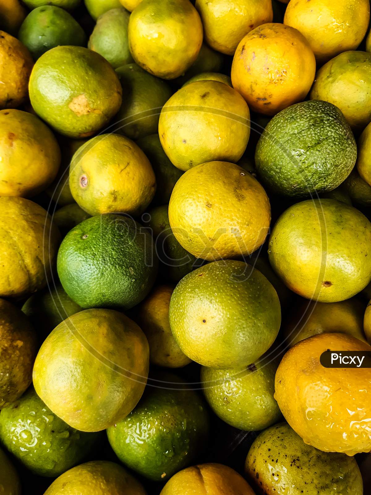 There Are Many Yellow And Green Ripe Seasonal Lemons Together. This Fruit Is Very Beneficial For Health.