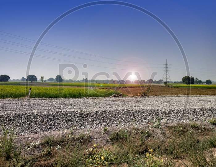 Blue sky and agriculture field graples on ground