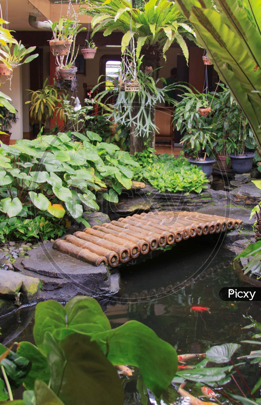 Bamboo Bridge Over Pond In Patio Garden Design