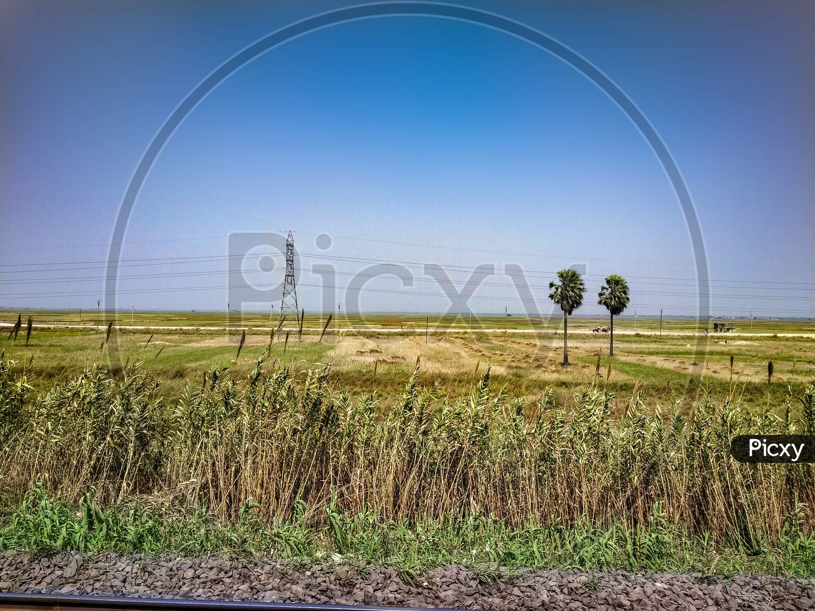 Blue sky agricultural land and trees