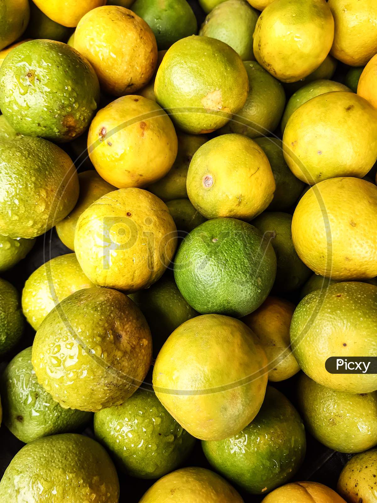 There Are Many Yellow And Green Ripe Seasonal Lemons Together. This Fruit Is Very Beneficial For Health.