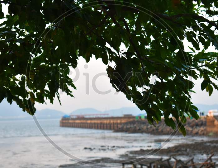 A Port Beside The Sea,With A Tree In The Foreground.