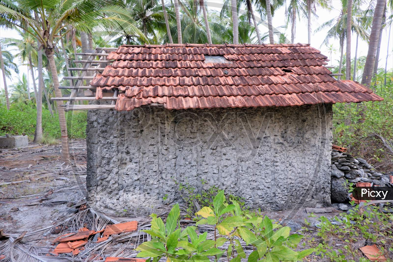olden traditional house in lakshdweep