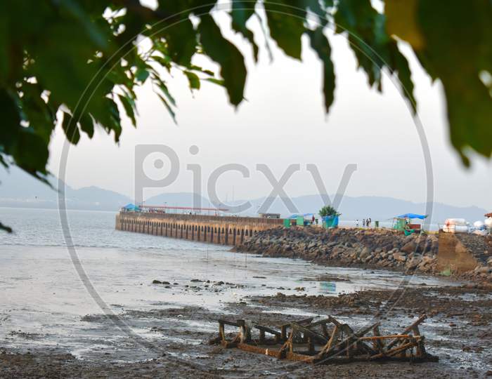 Image Of A Mumbai Port Captured With A Tree In The Foreground.