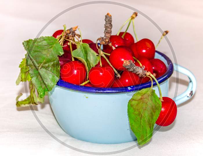 A closeup shot of blue cup filled with fresh red cherries on a white background