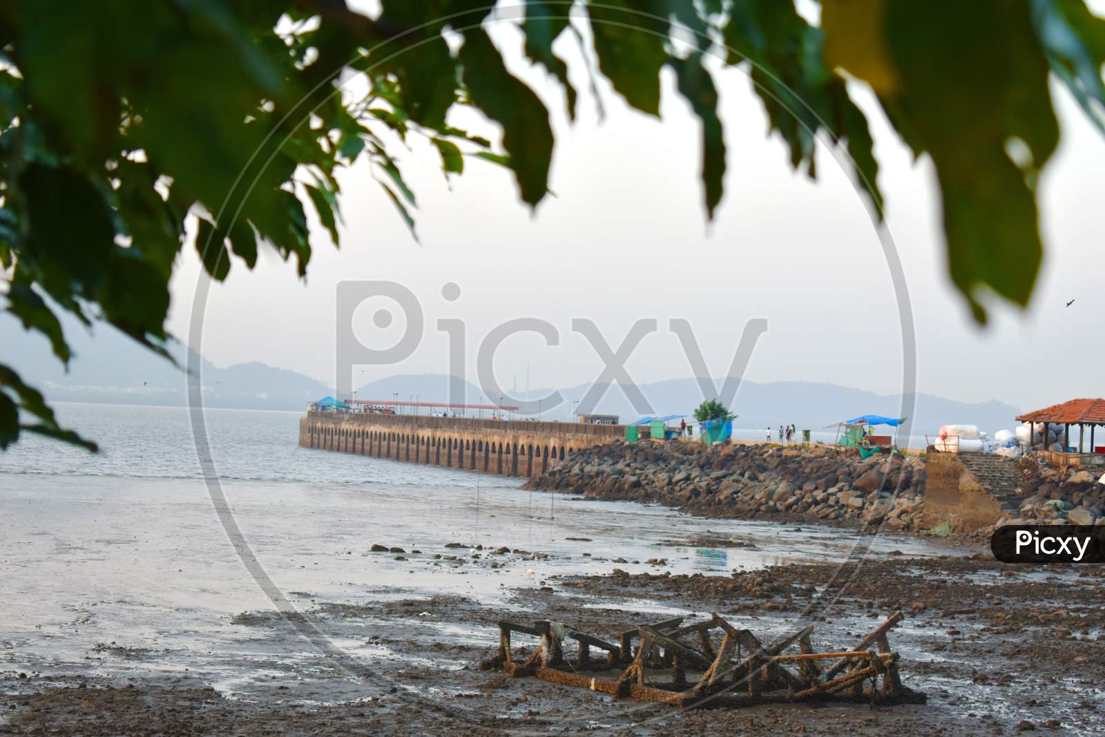 Image Of A Mumbai Port Captured With A Tree In The Foreground.