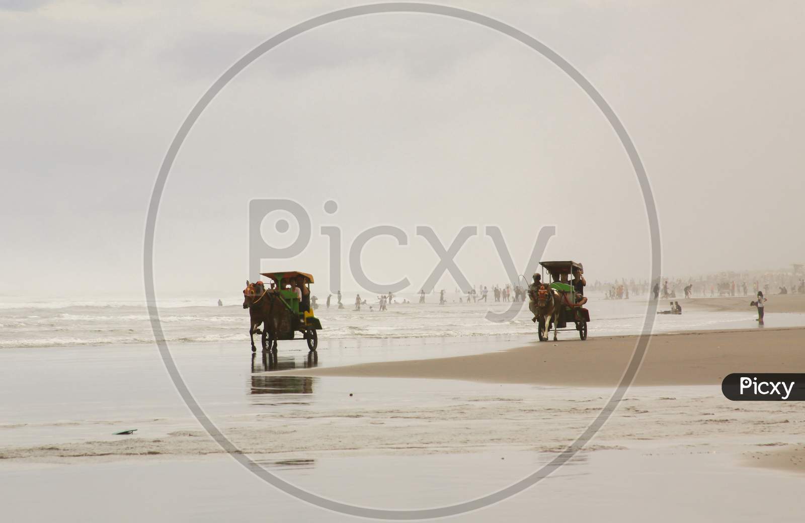 Two Horse Rickshaws On Parangritis Beach