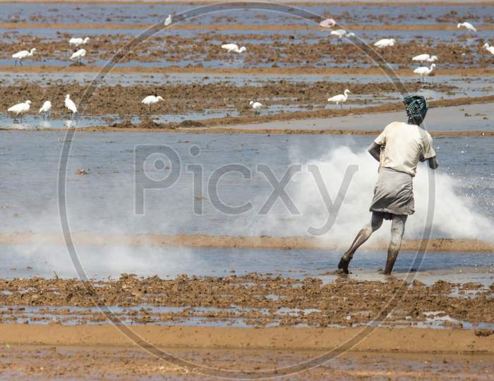 Farmer working on the field