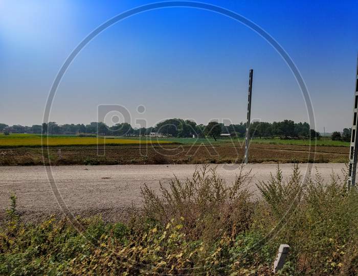 Blue sky and agriculture field