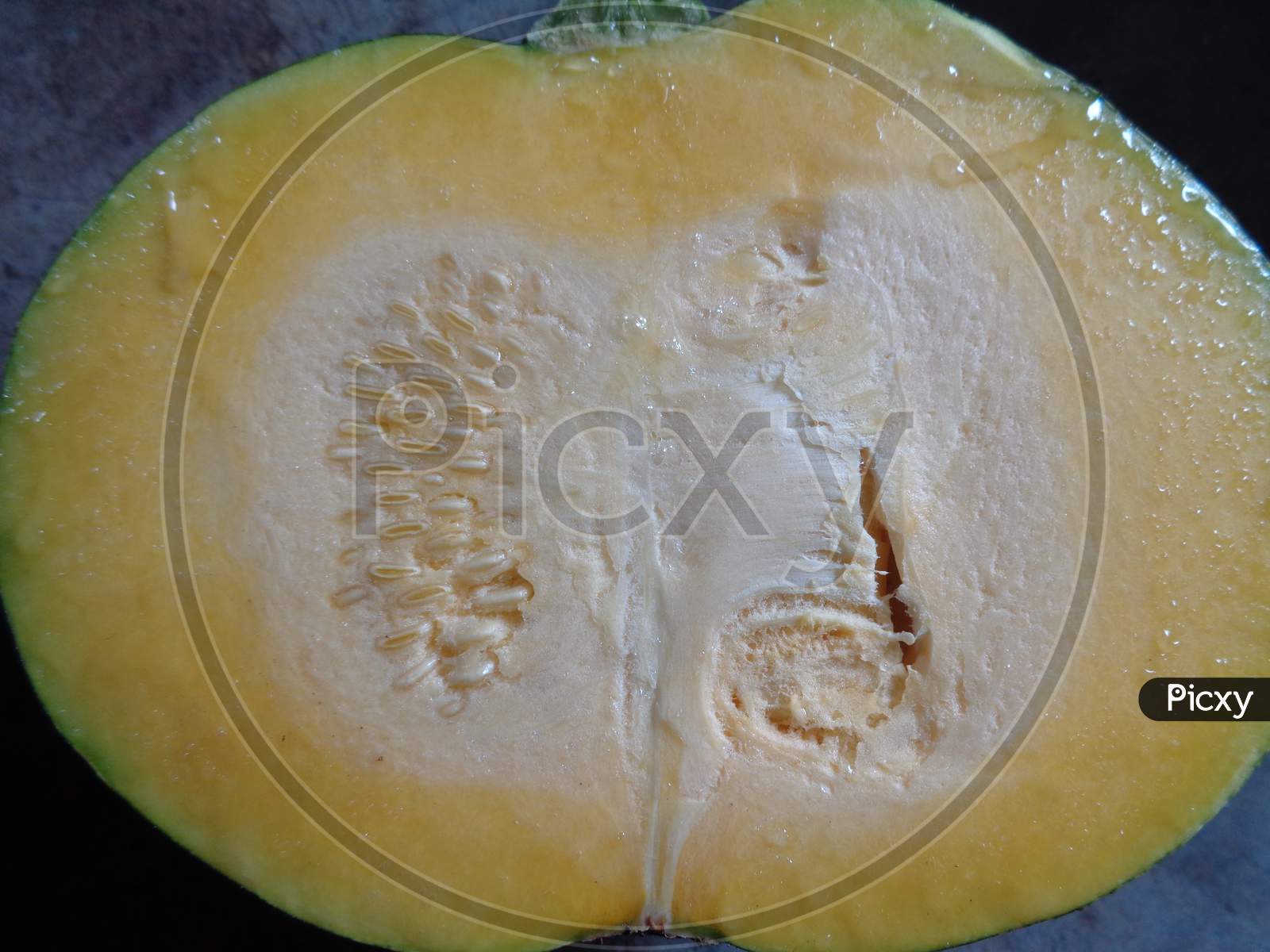 Cross sectional view of a Pumpkin