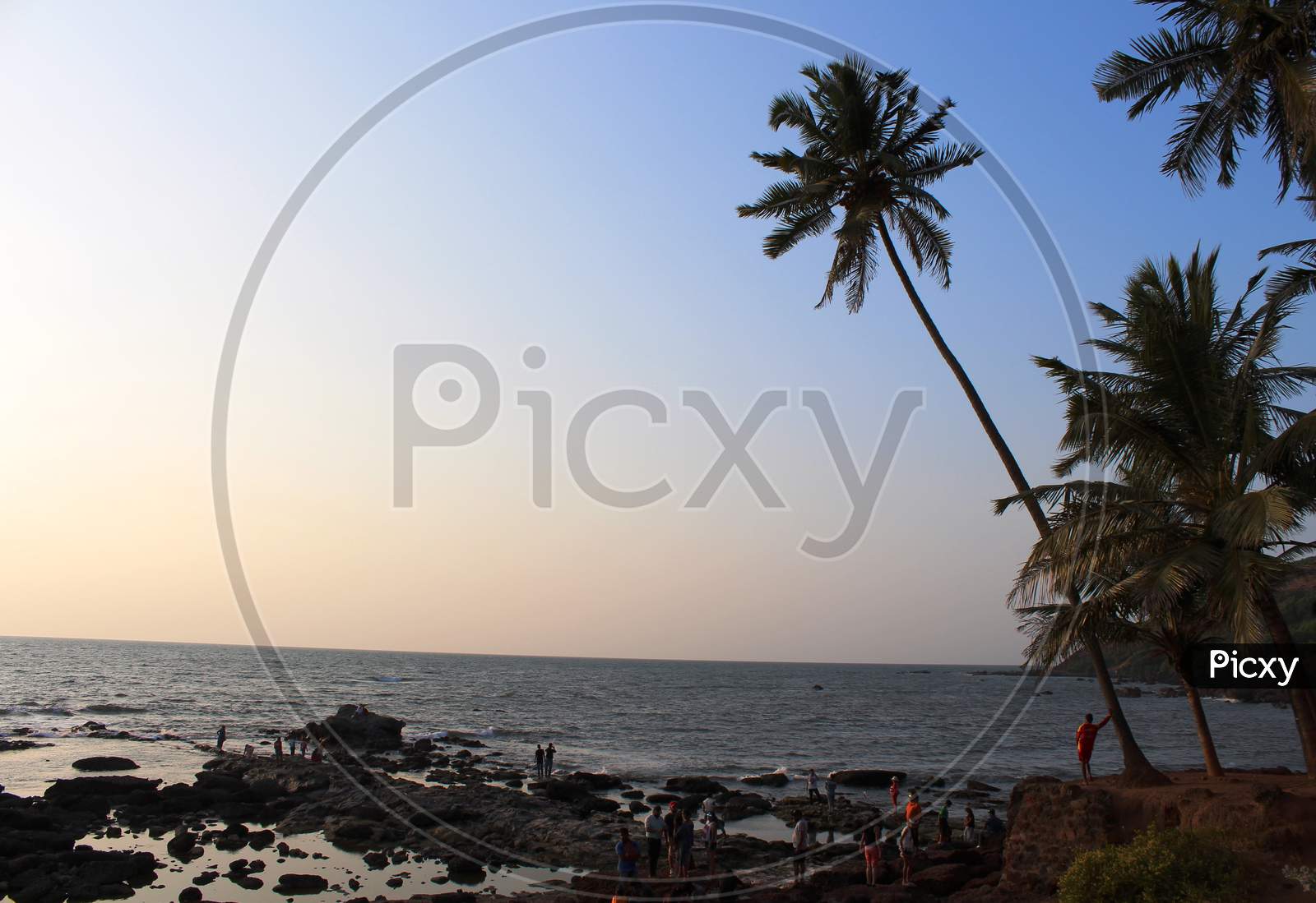 a view of Anjuna Beach, Goa