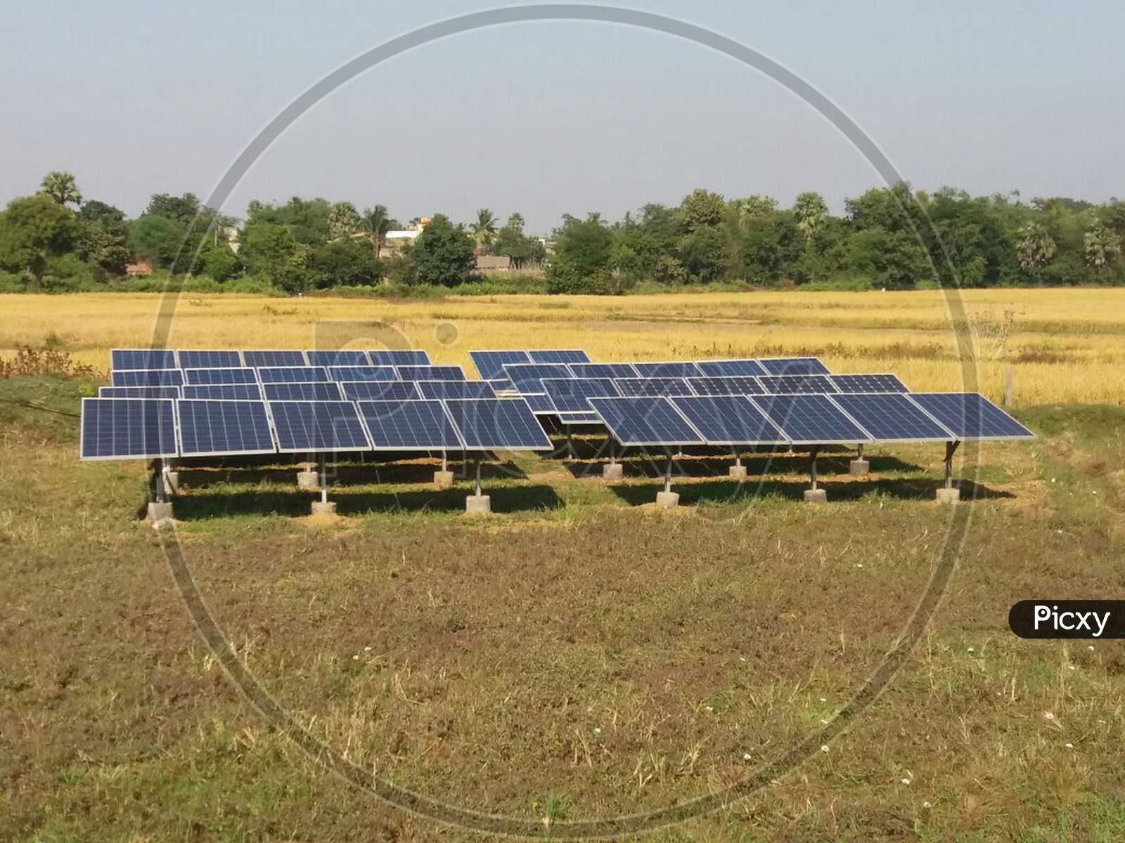 Solar power plant in field