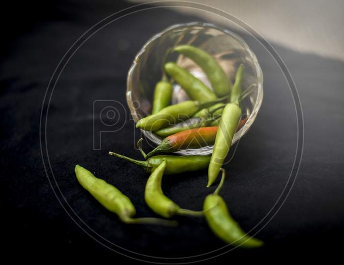 Fresh green chili isolated on black