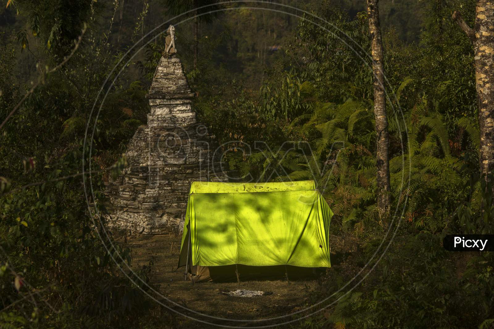 Yellow Tent In Front Of Buddha Tomb Surrounded By Forest