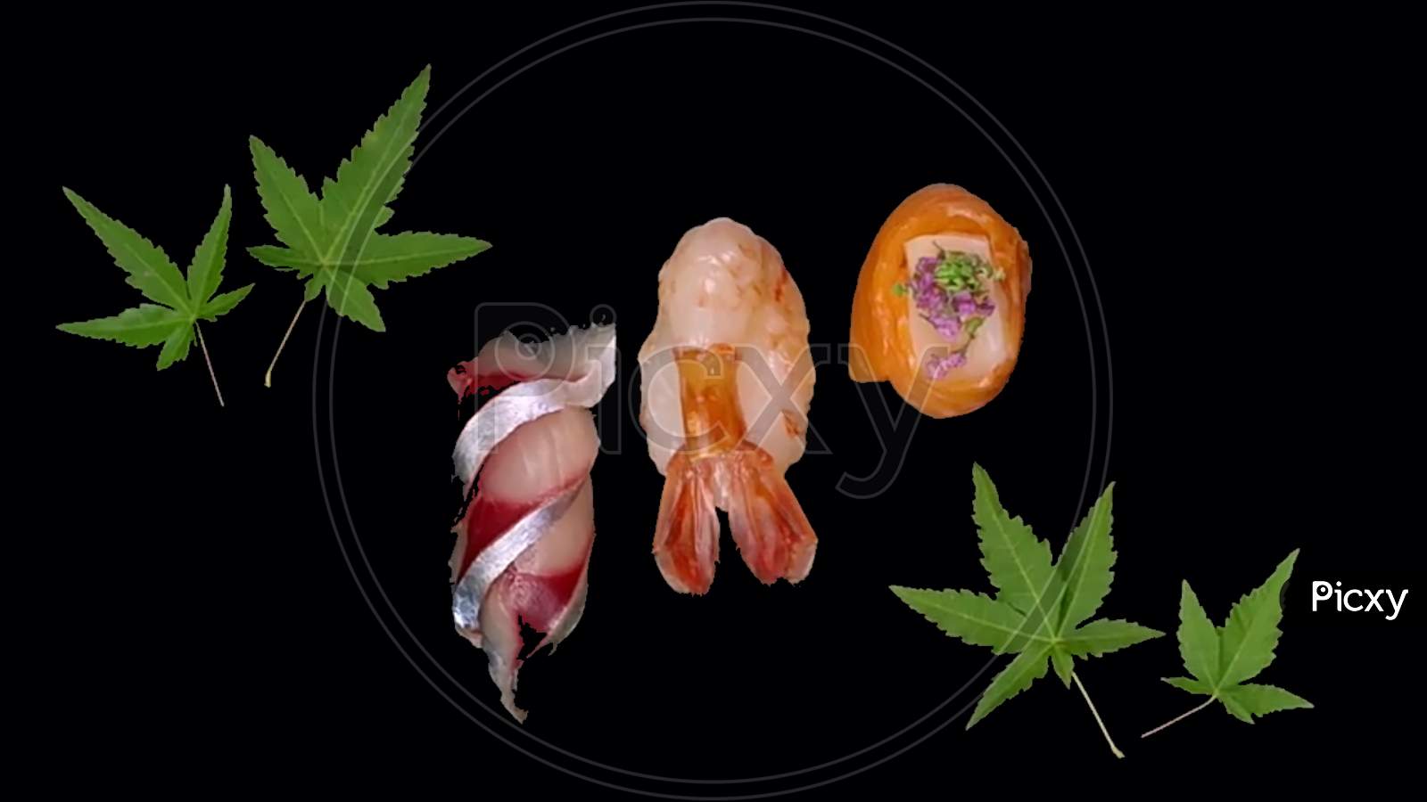 Set of sushi food