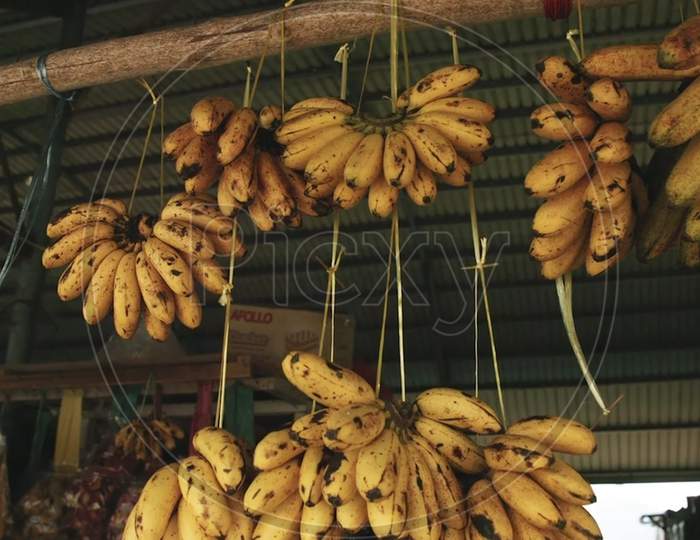 HANGING BANANAS FOR SELLING