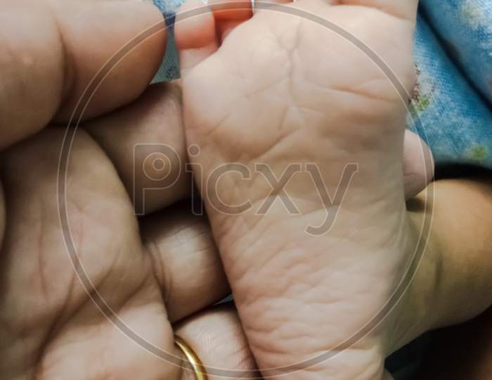 New born baby's little foot in his mother's palm