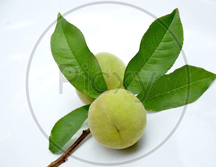 the ripe green peach with leaves isolated on white background.