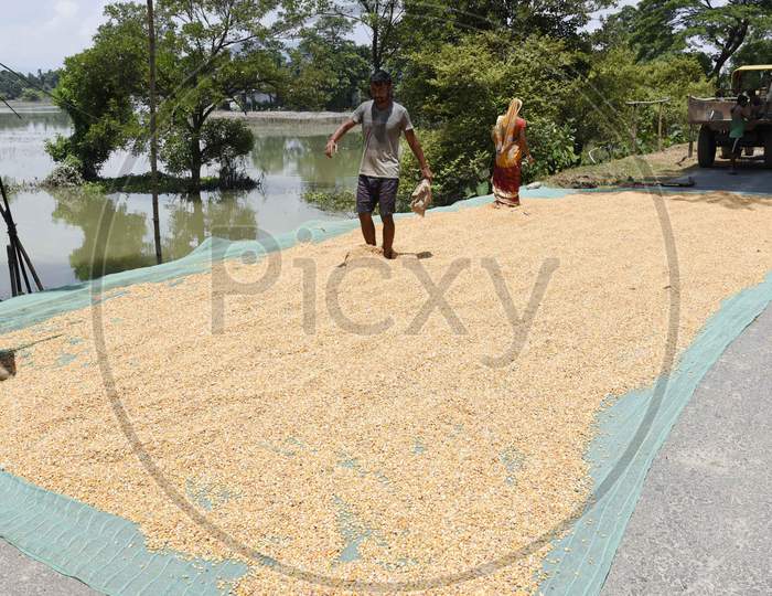 Villagers dry  maize on a road of a flood effected area