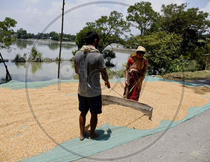 Villagers dry  maize on a road of a flood effected area