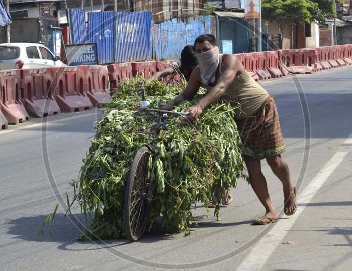 A man carrying Grass on his by cycle