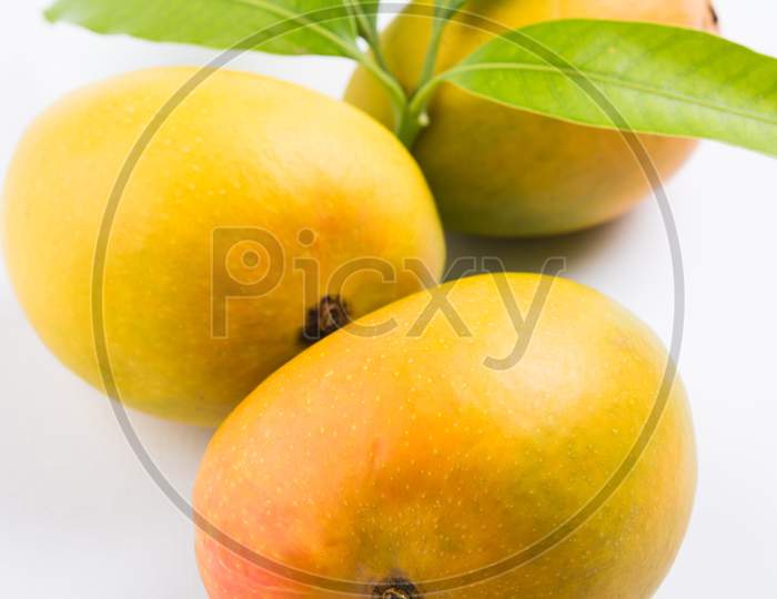 Alphonso Mango or Hapoos / Hapus Aam