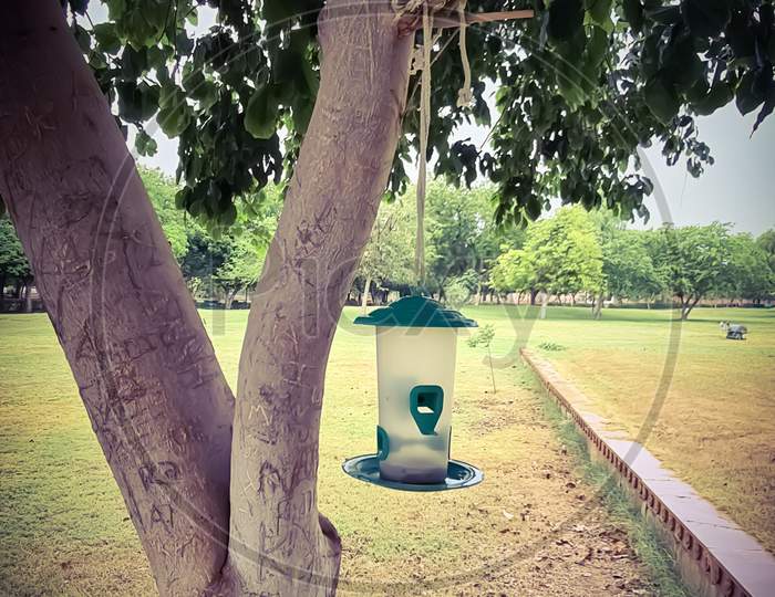 Hanged bird feeder