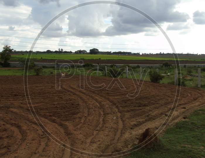 Agriculture field under cloudy sky