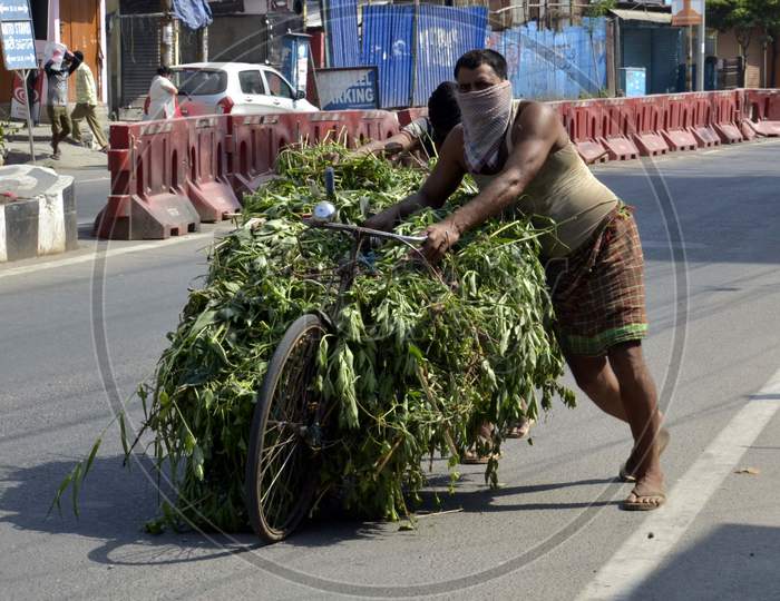 A man carrying Grass on his by cycle