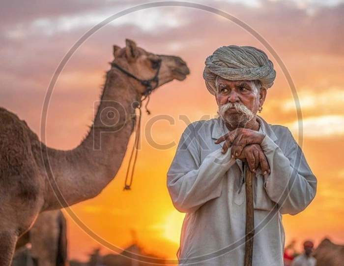 Man standing with camel