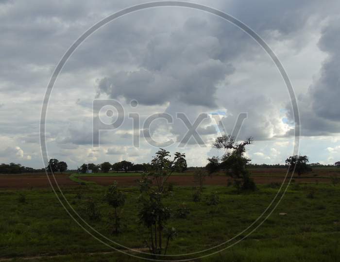 Agriculture field under cloudy sky
