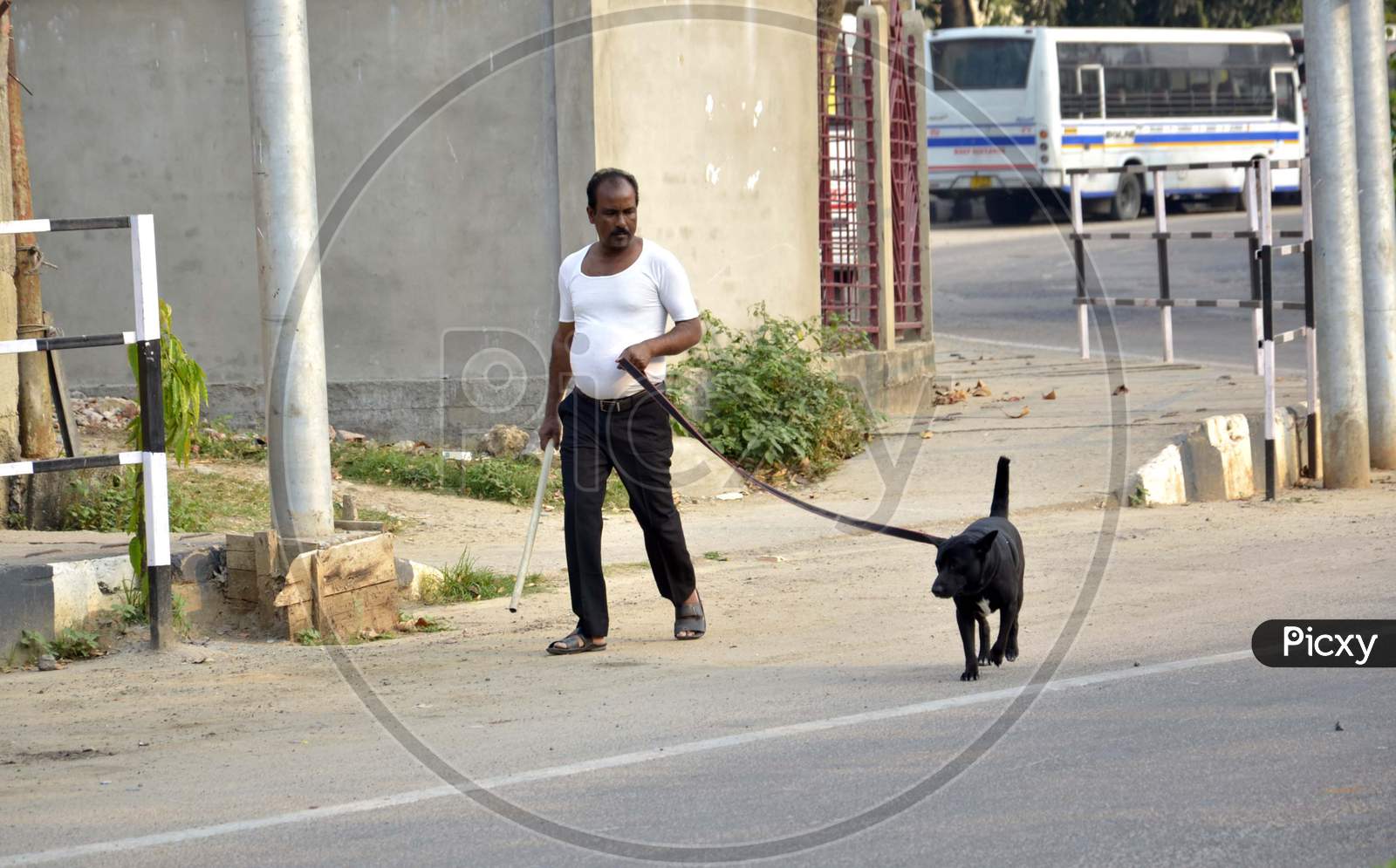 A man along with his pet walking on a deserted road