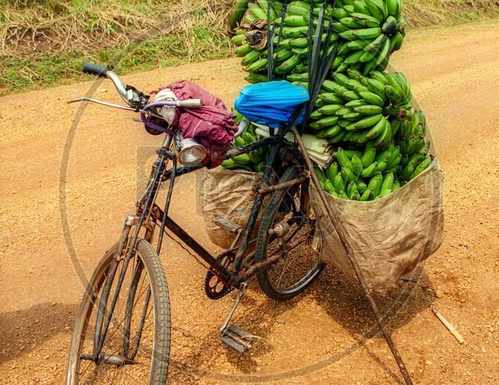 green banana on bicycle