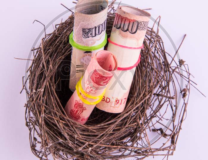 Indian rupee rolls notes in bird's nest. New business starting by banknotes