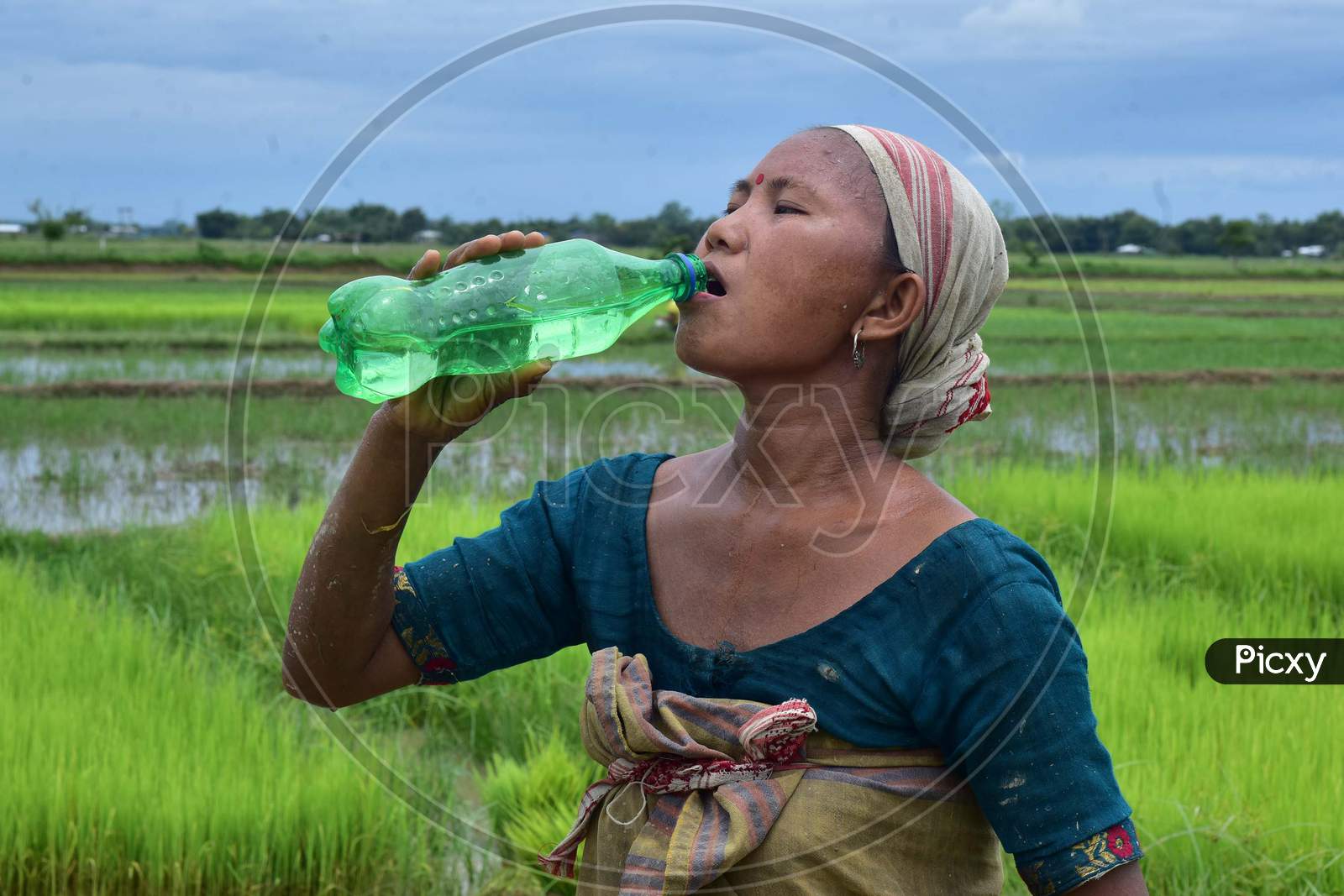 A woman quenches her thirst by drinking water after working in a paddy field in Nagaon, Assam on July 11, 2020