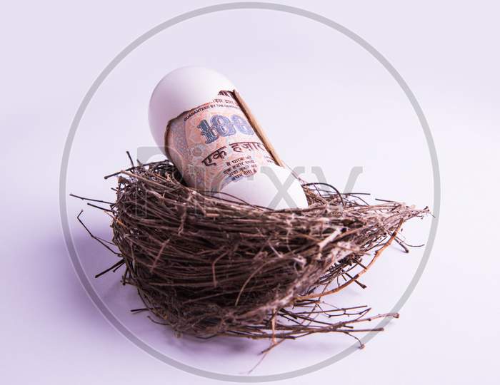 One thousand indian rupee note Coming Out from a Broken Egg in the Nest Against White Background