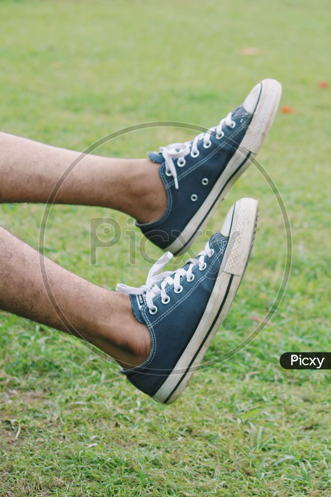 Blue Converse Casual Shoes