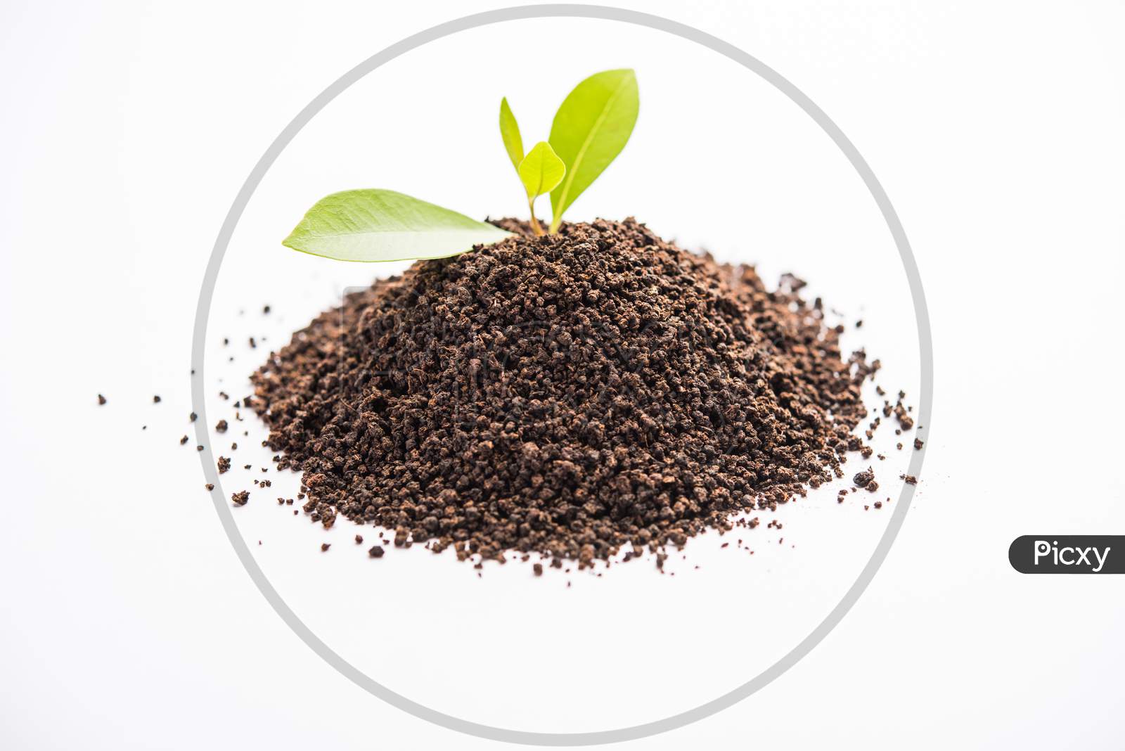 Image Of Black Tea Powder Or Dry Dust Used For Making Hot Tea Al092207 Picxy