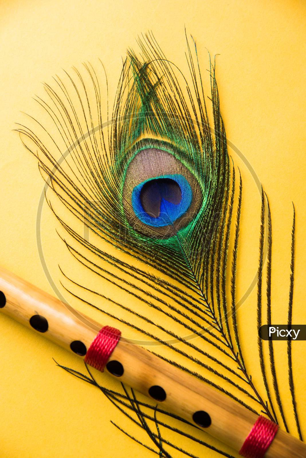 Image of peacock feather and bamboo flute over colourful background
