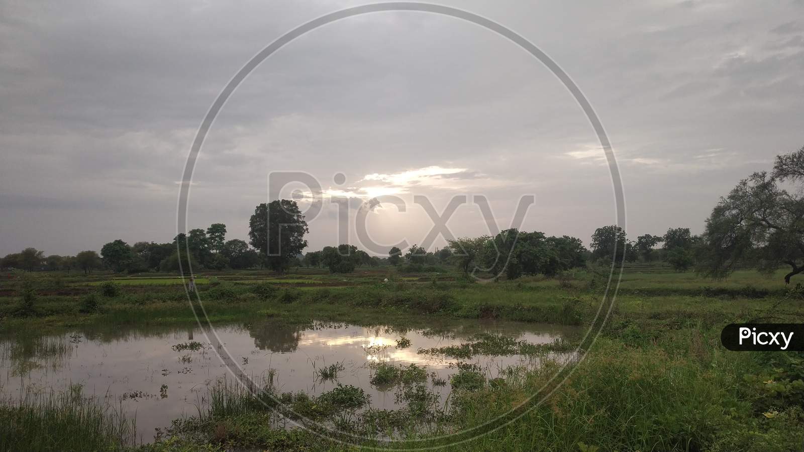 Sunset Reflection In Small Pond With Blue Sky In Monsoon