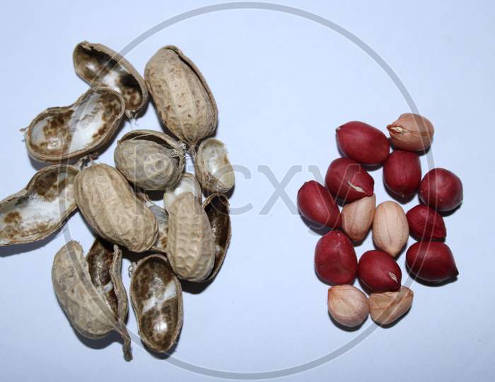 Nut fruits with white background